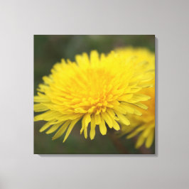 Lüstertraum. Hübsche Gelbwild-Blume Leinwanddruck