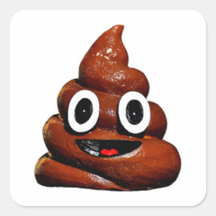 lustig gekackt Emoji Quadratischer Aufkleber