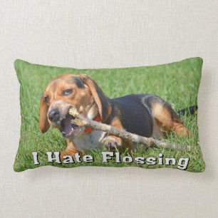 Lustig hasse ich Flossing den Beagle, der auf Lendenkissen