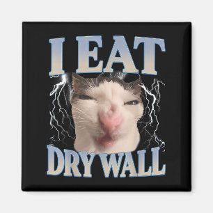 Lustig ich esse Trockenbau dummes Katzen-Meme Männ Magnet