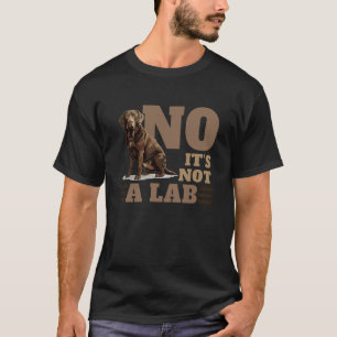 Lustig Nein, es ist kein Lab Chesapeake Bay Retrie T-Shirt
