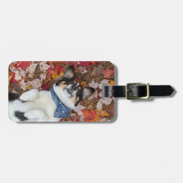 Lustig, niedlich, Corgi-Blick Gepäckanhänger