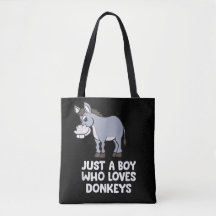 lustig Nur ein Junge, der Lieben Donkeys