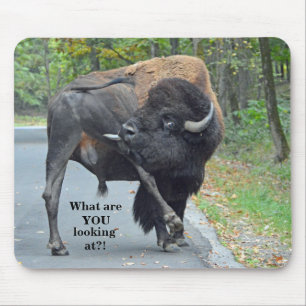 Lustig, was Sie betrachtend sind? Stier-Bison Mousepad