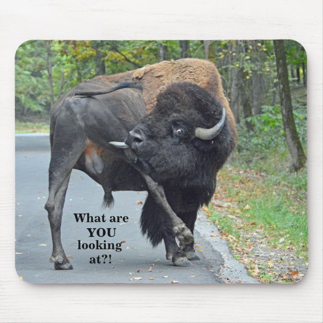 Lustig, was Sie betrachtend sind? Stier-Bison Mousepad (Vorne)