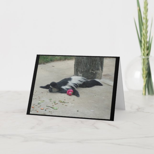 Lustige Affe-Gruß-Karte Karte (Vorderseite)