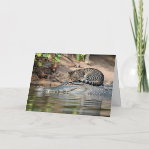 Lustige Alligator-Katze-Nickerchen Karte