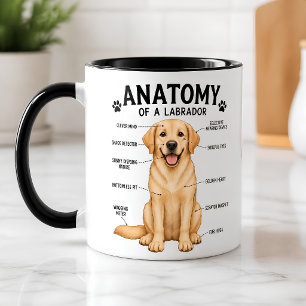 Lustige Anatomie-Diagramm des Labrador Retrievers Tasse
