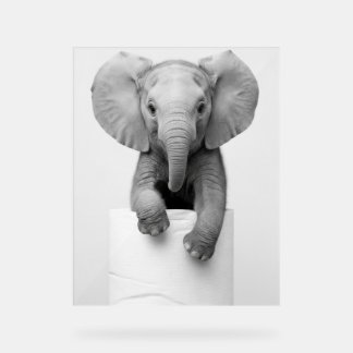 Lustige Ästhetik Baby Elefant Toilettenpapier Wild Acrylschild
