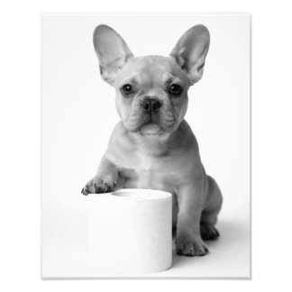 Lustige ästhetische Französische Bulldogge Toilett Fotodruck