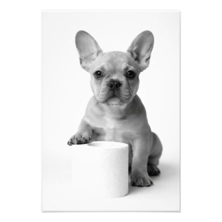 Lustige ästhetische Französische Bulldogge Toilett Fotodruck