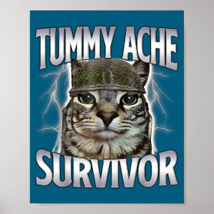 Lustige Bauchschmerzen Überlebender Katzen Meme Poster