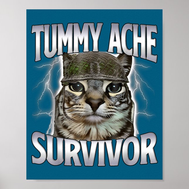 Lustige Bauchschmerzen Überlebender Katzen Meme Poster (Vorne)