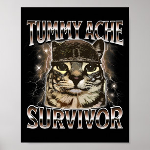 Lustige Bauchschmerzen Überlebender Katzen Meme Poster