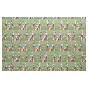 Lustige blinzelnde Beagle-Kaninchen u. Beagles Stoff