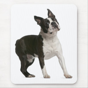 Lustige Boston-Terrier-Geschenke für Liebhaber süß Mousepad
