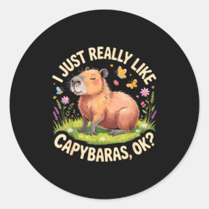Lustige Capybara-Kunst für Männer Frauen Kinder Ca Runder Aufkleber