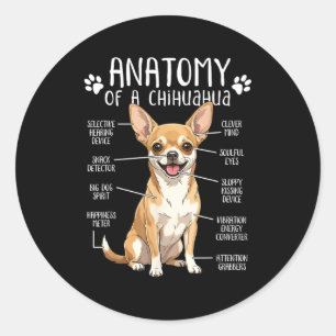 Lustige Chihuahua-Anatomie eines Chihuahua-Hundebe Runder Aufkleber