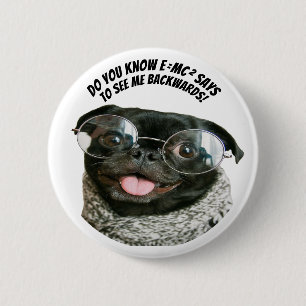 Lustige chinesische Mops-Welpen-Hund-Theorie Akute Button