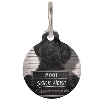Lustige Cockapoo-Sockenraub-Mugshot-Hundehalsband Haustiermarke