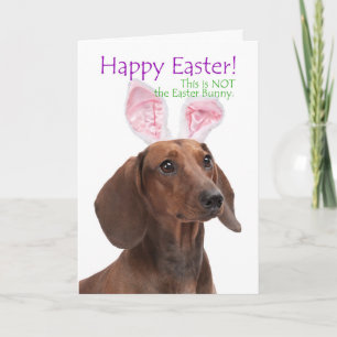 Lustige Dachshund-Osterkarte Feiertagskarte