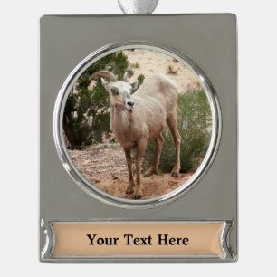 Lustige Dickhornschafe im Zion-Nationalpark Banner-Ornament Silber