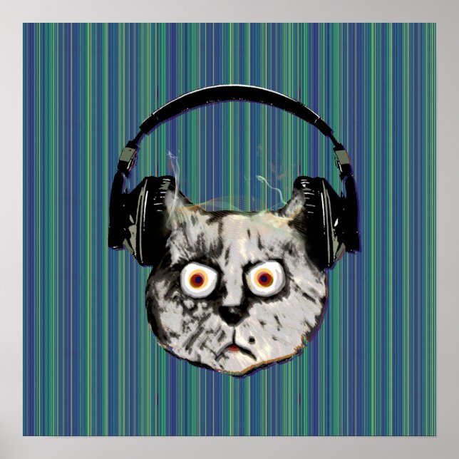lustige DJ-Katze Poster (Vorne)