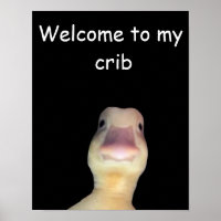 Lustige Enten-Meme: Willkommen in meiner Bude Ente