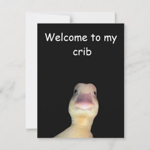 Lustige Enten-Meme: Willkommen in meiner Bude Ente Postkarte