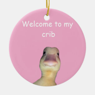 Lustige Enten-Meme – „Willkommen in meiner Bude“ S Keramik Ornament