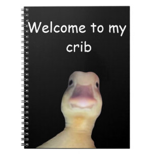 Lustige Enten-Meme – „Willkommen in meiner Bude“ S Notizblock