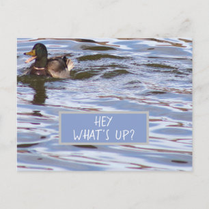 Lustige Enten-Postkarte Feiertagspostkarte
