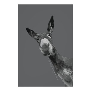 Lustige Esel Graustufen-Porträt-Kunst Fotodruck