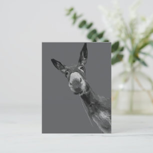 Lustige Esel Graustufen-Porträt-Kunst Postkarte