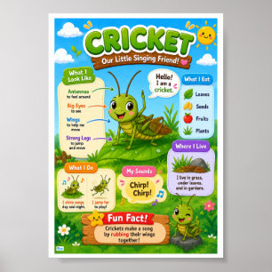 Lustige Fakten über Cricket für Kinder Poster