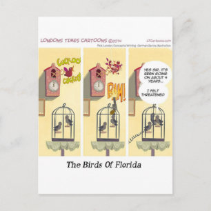 Lustige Florida Stand-your-Ground Vögel Postkarte