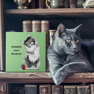 Lustige Fluffige Maine Coon Katze Grüner Humor Fliese