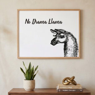 Lustige freche Llama-Zeichnung ohne Drama in Schwa Poster