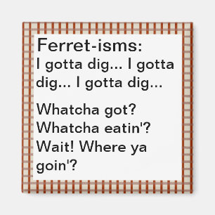 Lustige Frettchen-Theorie Zitate Magnet