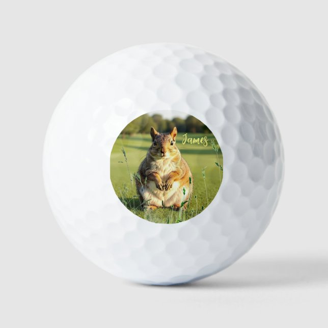 Lustige Fuchs Eichhörnchen Golfbälle (Vorderseite)