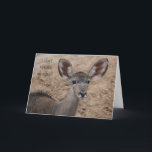 lustige Geburtstagsantilope, kann meinen Ohren Karte<br><div class="desc">Zoo kardiert die Sammlung, humorvoll, "ich kann meinen Ohren nicht glauben!!" innerhalb: "sie sagen, dass Sie ein anderes Jahr. gealtert haben. Sie konnten mich getäuscht haben!!" Entzückende Antilope mit den großen Extraohren</div>