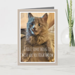 Lustige Geburtstagskarte für Katzengeburtstag von  Karte