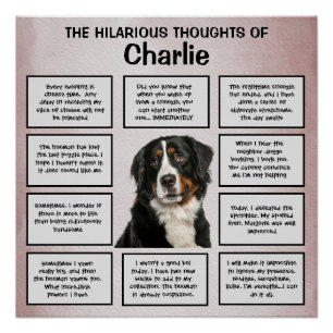 Lustige Gedanken meines Berner Sennenhundes Poster