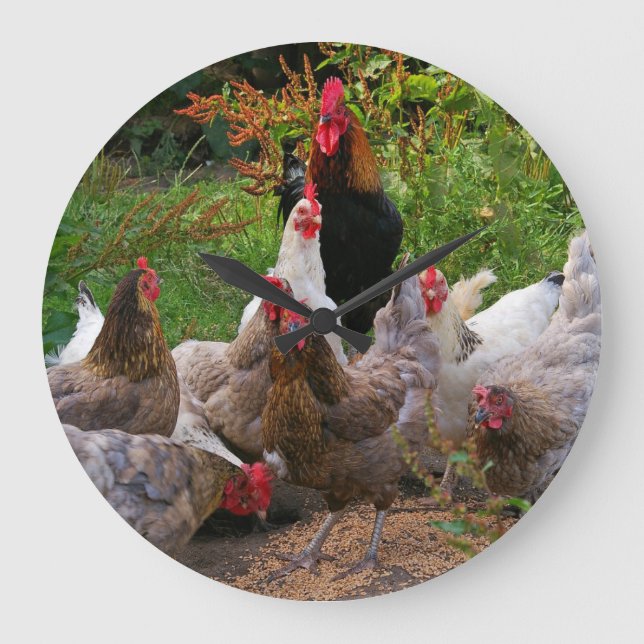 Lustige Hof-Huhn-Hennen u. Hahn-Uhr Große Wanduhr (Vorderseite)