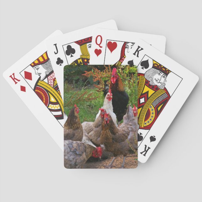 Lustige Hof-Hühner u. Hahn-Spielkarten Spielkarten (Rückseite)