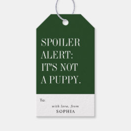 Lustige Humorvolle Spoiler-Warnung: Es ist kein We Geschenkanhänger