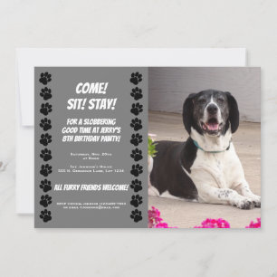 Lustige Hund-Birthday-Party-Einladung Einladung