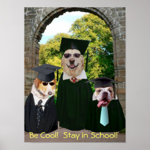 Lustige Hunde bleibe im Schulplakat Poster