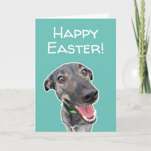 Lustige Hunde-Liebhaber Osterkarte Karte