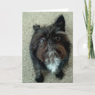 lustige Hundegeburtstags-Grußkarte Karte